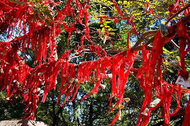 《星际：异端先知》预告片暗含多处彩蛋 致敬工作室历史