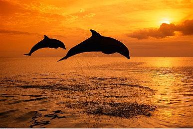 梦穿童话世界！《银斧》steam抢先体验版本4月8日上线！