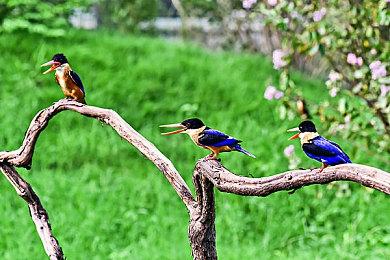 《星球大战：亡命之徒》PS5＆Xbox＆PC对比视频 谁更强？