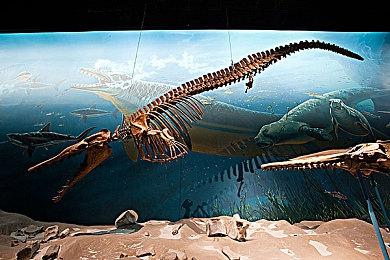 动作RPG游戏《云之国》Steam页面开放 年内发售